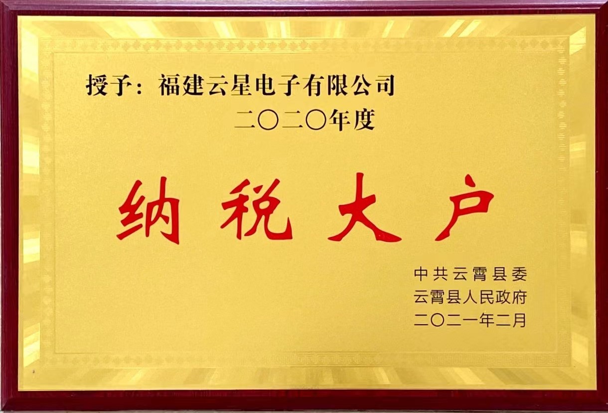 2020年度纳税大户